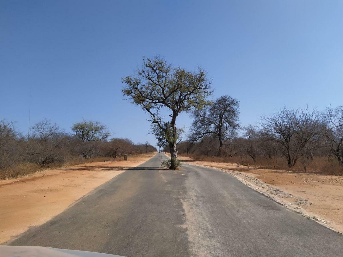 Ukuthula Bush Lodge Hoedspruit Buitenkant foto